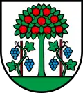 Coat of arms of Magden