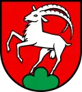 Coat of arms of Remigen
