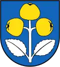 Coat of arms of Schattdorf