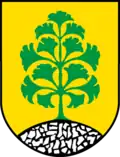Coat of arms of Schwerz