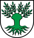 Coat of arms of Widen