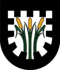 Coat of arms of Pinswang