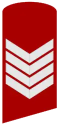 Four-bar chevron