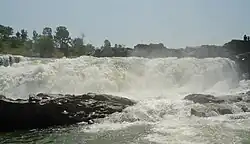 Small Waterfall on Johilla River