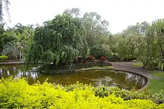 Water Gardens in Jingili
