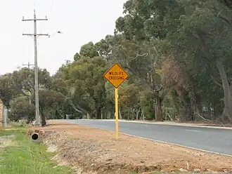 Crystal Brook Road, Wattle Grove