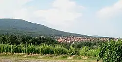 A general view of Wattwiller