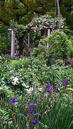 Rose arbor in the Flower Garden