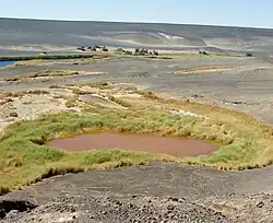 Brown lake surrounded by green vegetation in a black desert