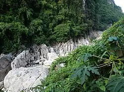 WawaDamjf5989 08