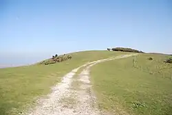 A trackway passing from the viewer up and over a hill ahead