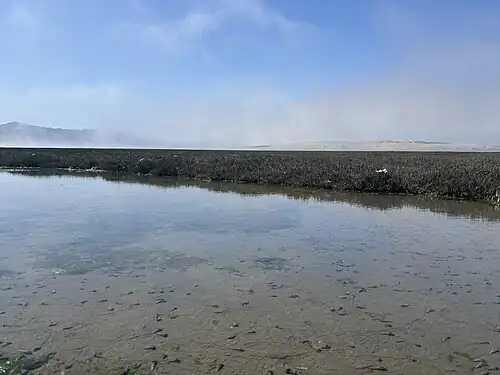 Surrounding a salt pond on Wednesday Island in Morro Bay, CA