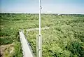 View of the boardwalk leading to the preserve's observation tower