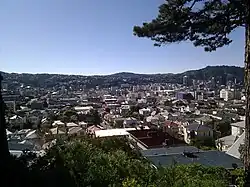 View of the suburb of Mount Victoria, with Armour Avenue just left of centre and Te Aro in the background