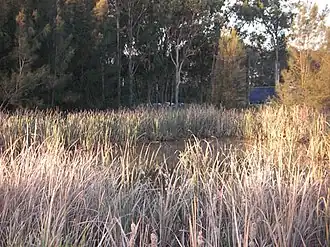 Lake Francis, West Hoxton