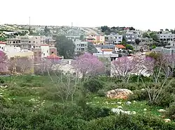 West Kammaneh