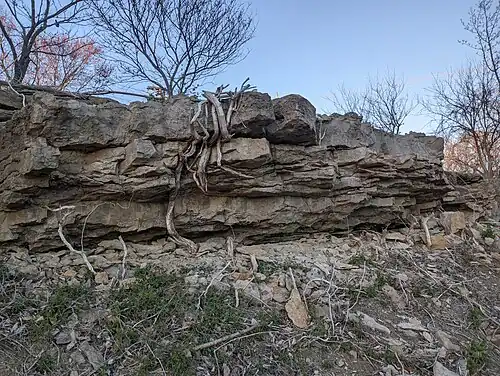 Westerville Limestone shows a characteristic overhang where the softer Wea Shale below has eroded, a common feature in the group.