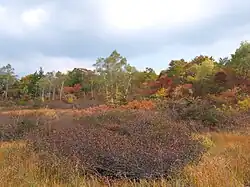 Komado wetlands in Shōwa, Fukushima