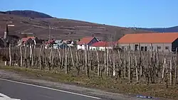 The road into Wettolsheim