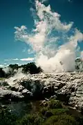 Puarenga Stream
