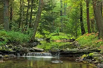 Creek