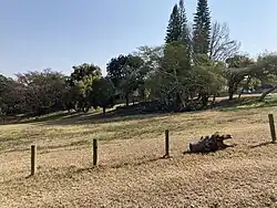 Ronnie Bester Park in White River