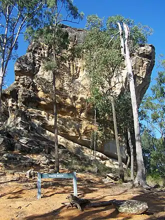 White Rock Spring Mountain Conservation Reserve