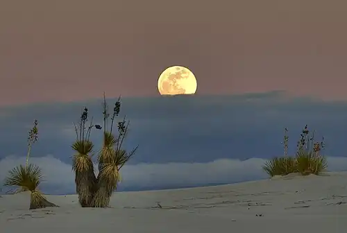 Moonrise at White Sands National Park in New Mexico
