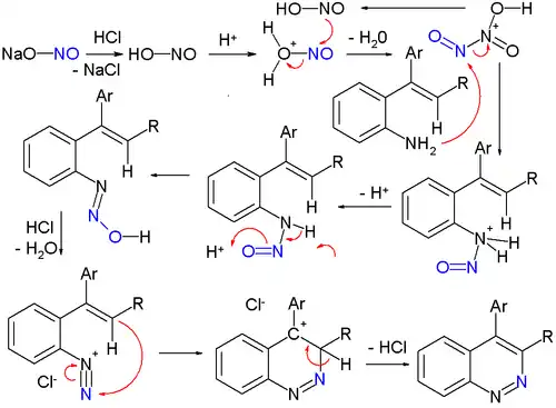 The sodium nitrite is first converted to nitrous acid and then dinitrogen trioxide. The latter electrophilically attacks the amine nitrogen to form a nitrosamine and then diazonium salt. Finally the diazonium closes a ring into the vinyl group.