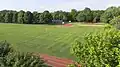 Birkenwiese