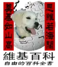 Chinese New Year at the Chinese Wikipedia (2006)