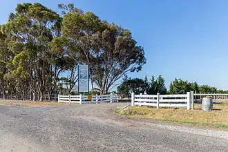 Wildwood Vineyards, Oaklands Junction