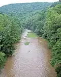 The Williams River as viewed from West Virginia Route 150 in Pocahontas County during a period of high water in 2006.