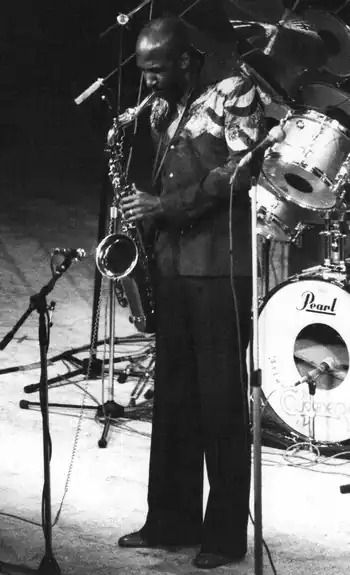 Felder in 1978