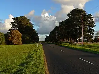 Old Cape Schanck Road
