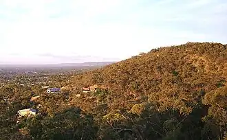 View from Windy Point