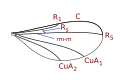 Winnertziini wing veins