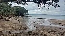 Beach at low tide