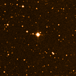 The star