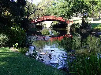 Wollongong Botanic Garden