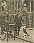 Street scene with a cat begging for food from a vendor