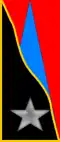 225th Coastal Division Artillery