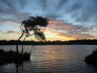 Sunset over Loch McNess in Yanchep National Park