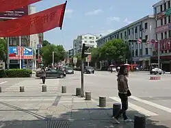 Shijiang Avenue (狮江大道)