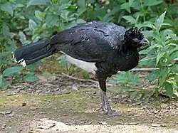 {{{image2-alt}}}