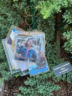 Photos of Zhang in her memorial garden, 2023