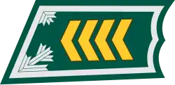 Översergeant (Finnish: Ylikersantti) (Finnish Army)[20]