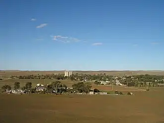 Landscape near Yongala in the south of the county