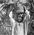 A young boy carrying freshly harvested dates, Qatif, 1947