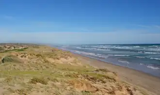 The ocean side of the Younghusband Peninsula is a popular area for fishing